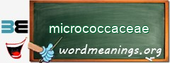 WordMeaning blackboard for micrococcaceae